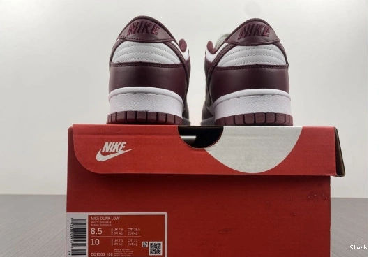 Nike Dunk Bordeaux (W) Low DD1503-108 0114